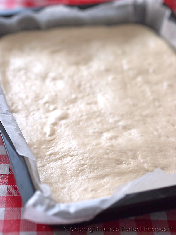 Pizza al taglio dough