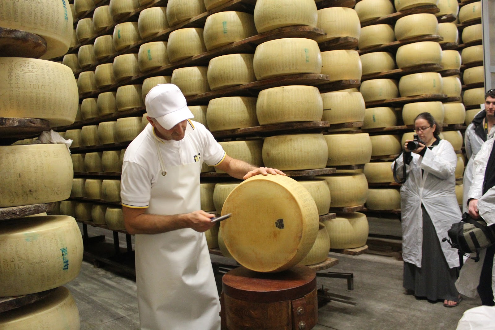 parmigiano reggiano rolls cheese factory