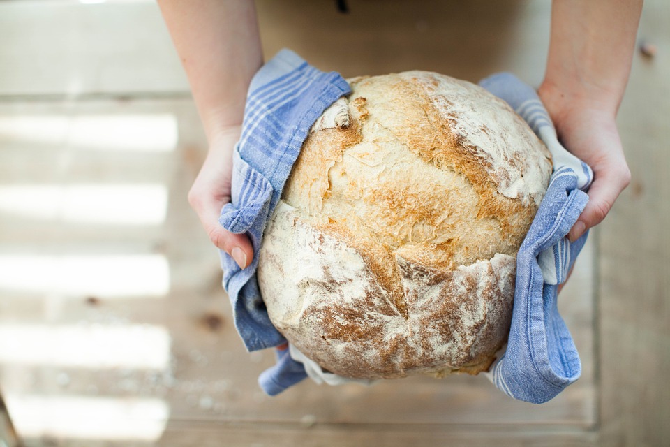 bread sourdough starter mother yeast