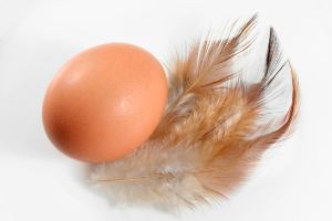 egg smell avoid stinky